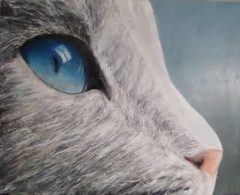 BlueEyeCat