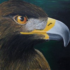 Eagle