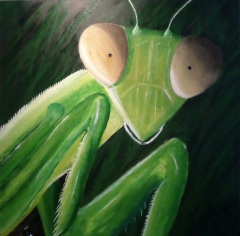 Mantis