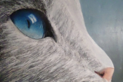 BlueEyeCat