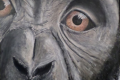 Chimpeyes
