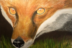 FoxEyes