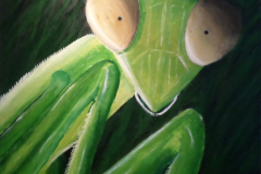 Mantis