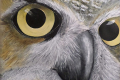 owleyes