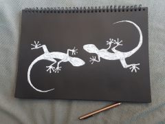 27788435_10155580458099332_1765926078291203637_o