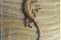 sandgecko