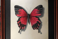 10334313_10152501615674332_4594790577211550145_n-1