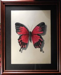 10334313_10152501615674332_4594790577211550145_n-1