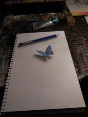 16275_10152395637634332_8170082820345777241_n