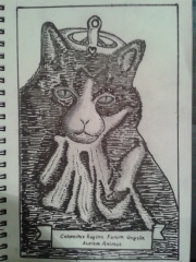 CameraZOOM-20130702174611456