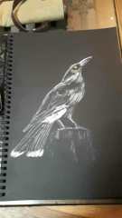 facebook_1517791532860