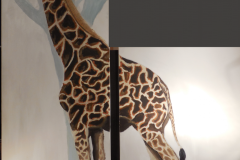 giraffe-diptych
